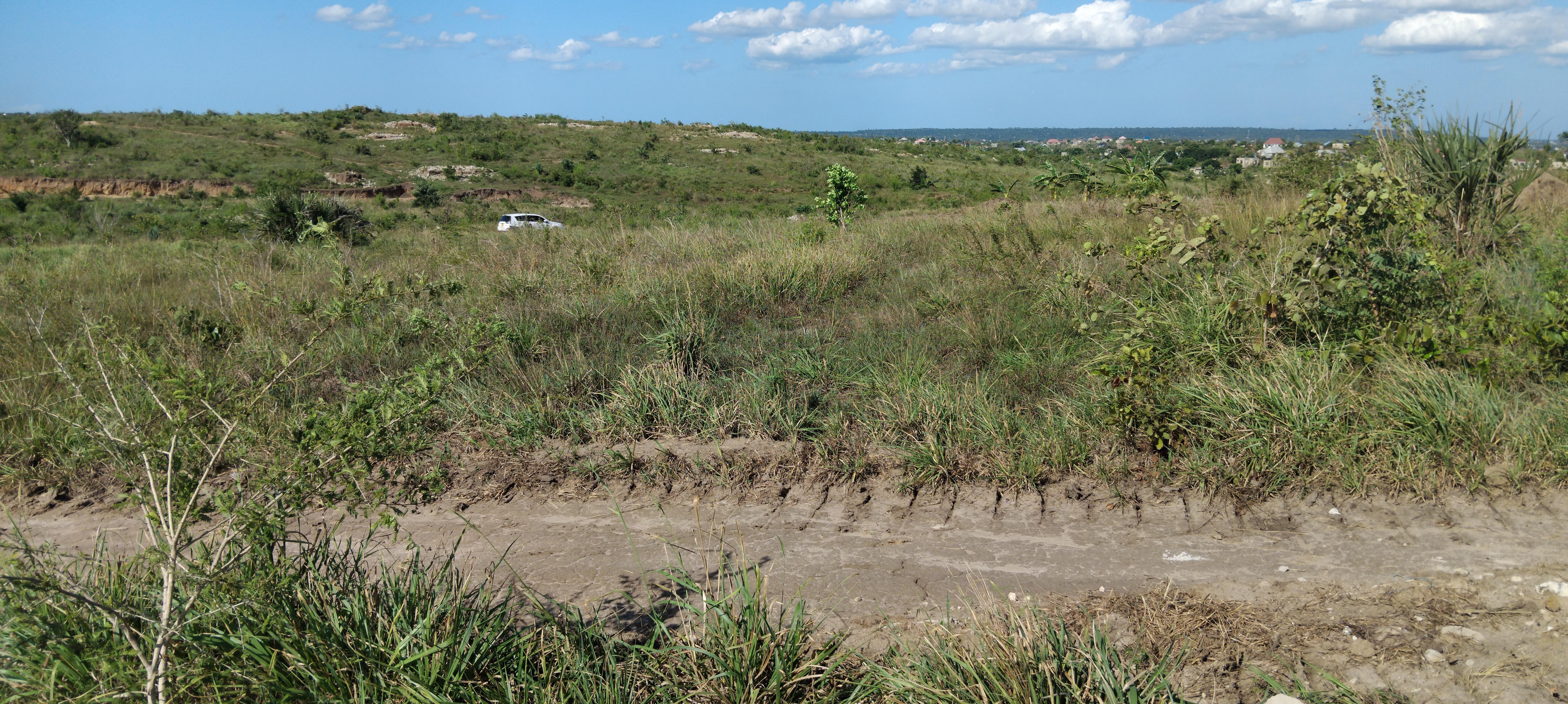 land